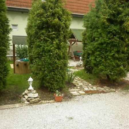 Bed and Breakfast Taltos Vendeghaz Сильвашварад Экстерьер фото